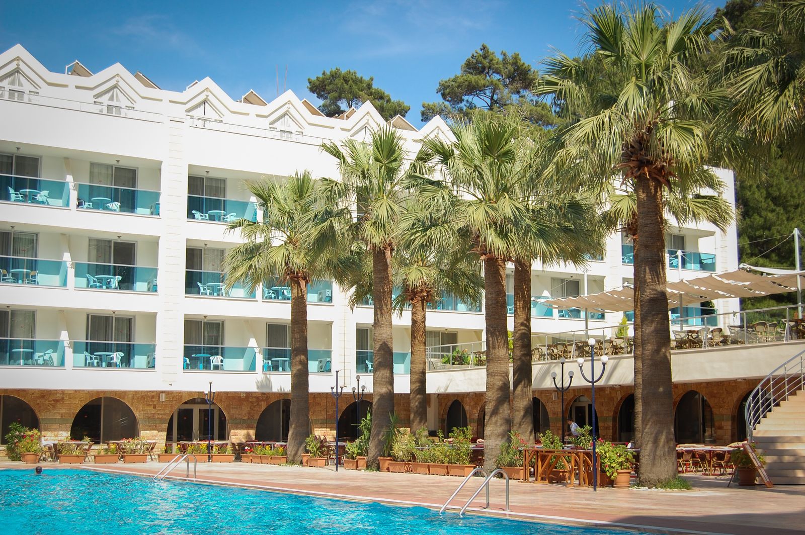 A resort pool framed by tall palm trees with crystal-clear blue water